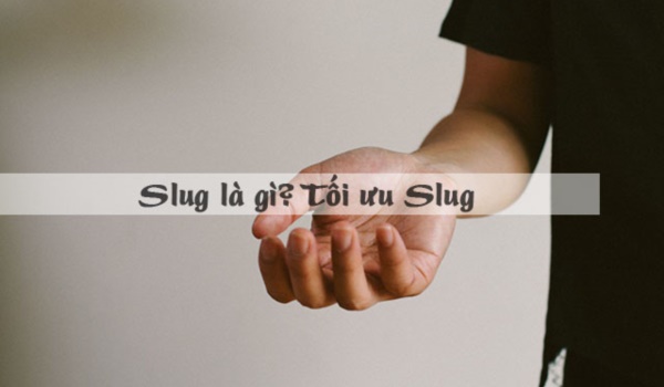 Sên là gì? Tổng hợp mọi điều bạn cần biết về tối ưu hóa Slug cho SEO - Trung tâm hỗ trợ kỹ thuật | MATBAO.NET